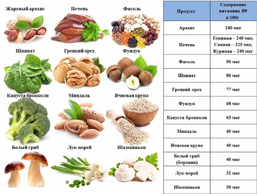 Продукты, в которых содержится фолиевая кислота